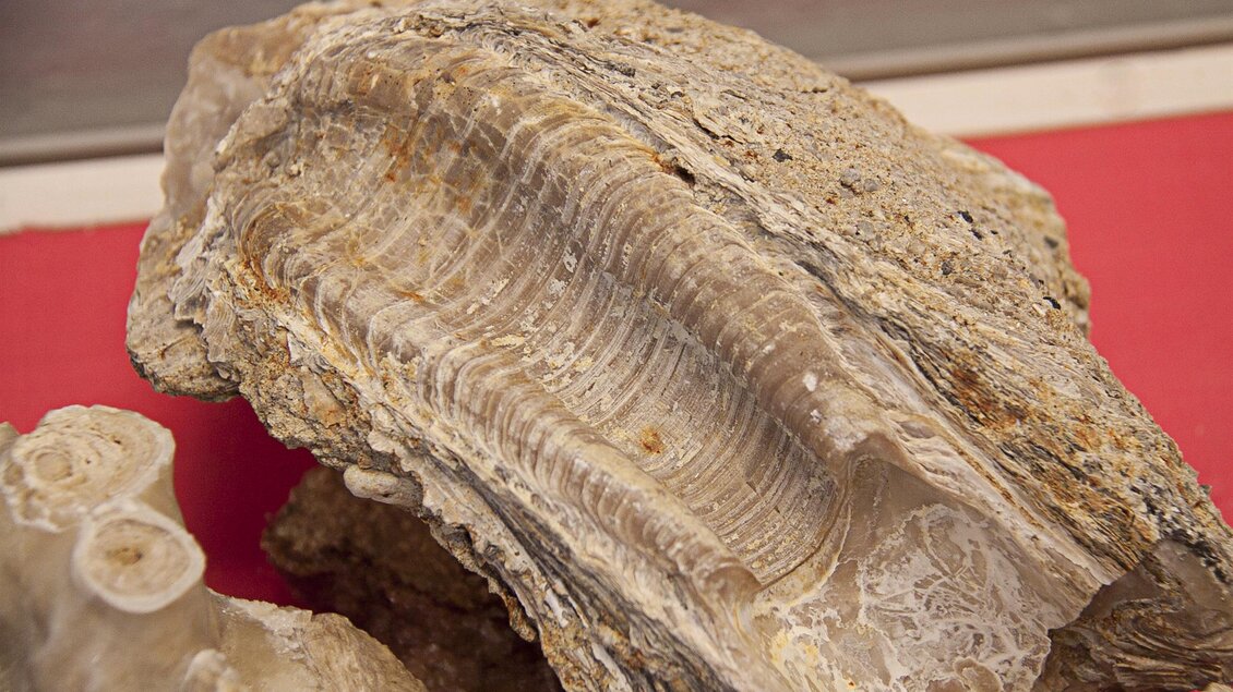 Mineralienausstellung