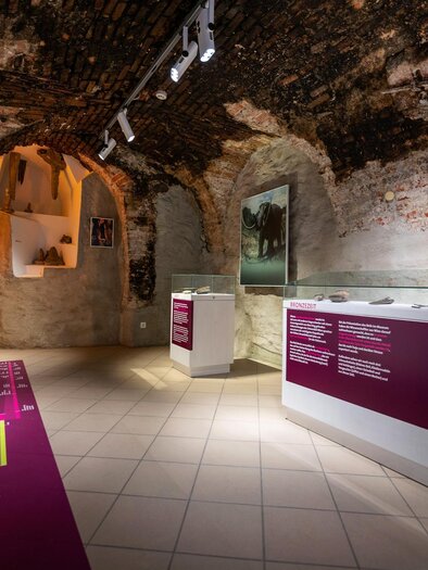 Funde der Vor- und Frühgeschichte, Römerzeit