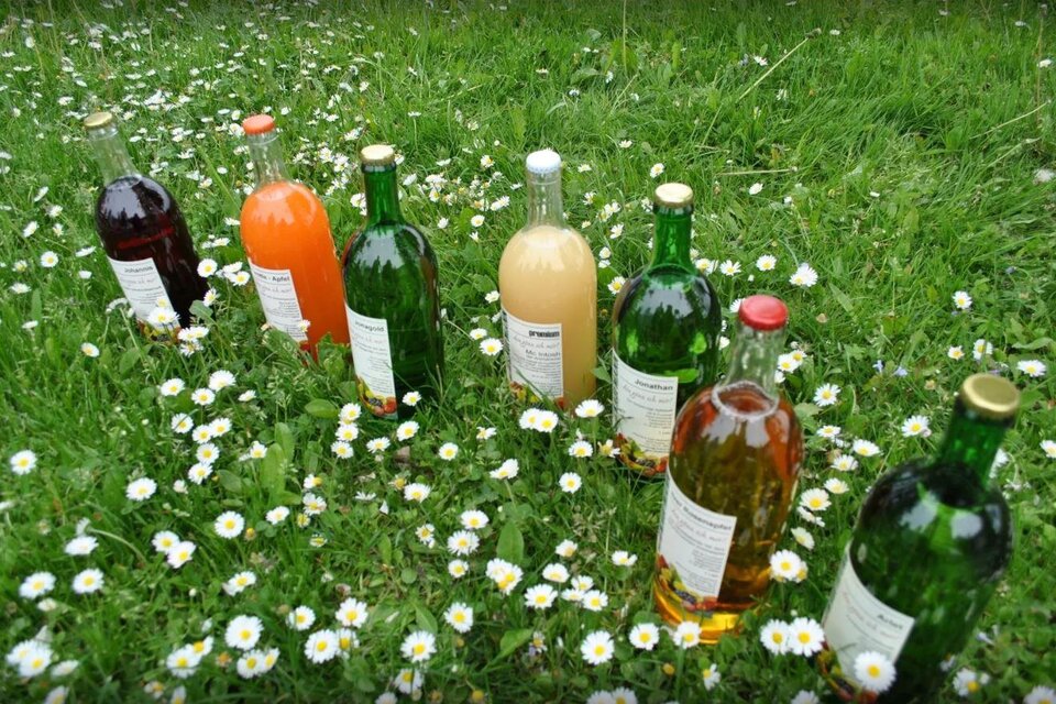 Obsthof Kaufmann - Impression #1 | © Obsthof Kaufmann