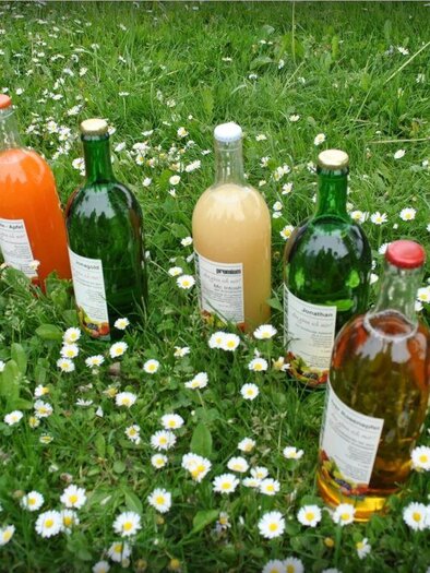 Obsthof Kaufmann | © Obsthof Kaufmann