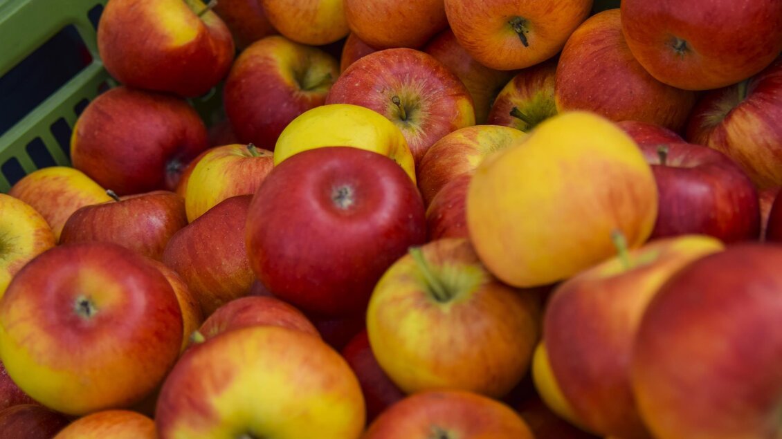 Obsthof Kaufmann | © Obsthof Kaufmann