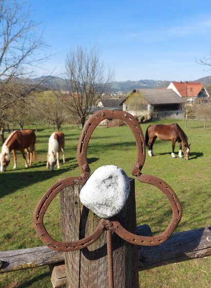 Pferdehof Decker | © Pferdehof Decker