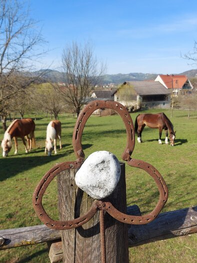 Pferdehof Decker | © Pferdehof Decker