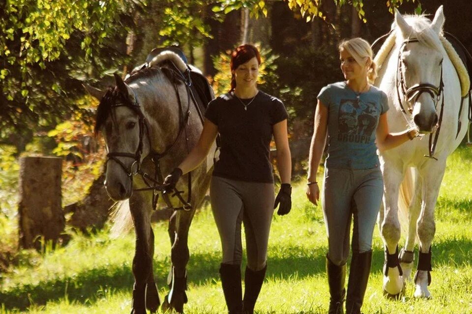 Kapfenstein Horse Farm - Impression #1 | © Steiermark Tourismus, photo.austria.at