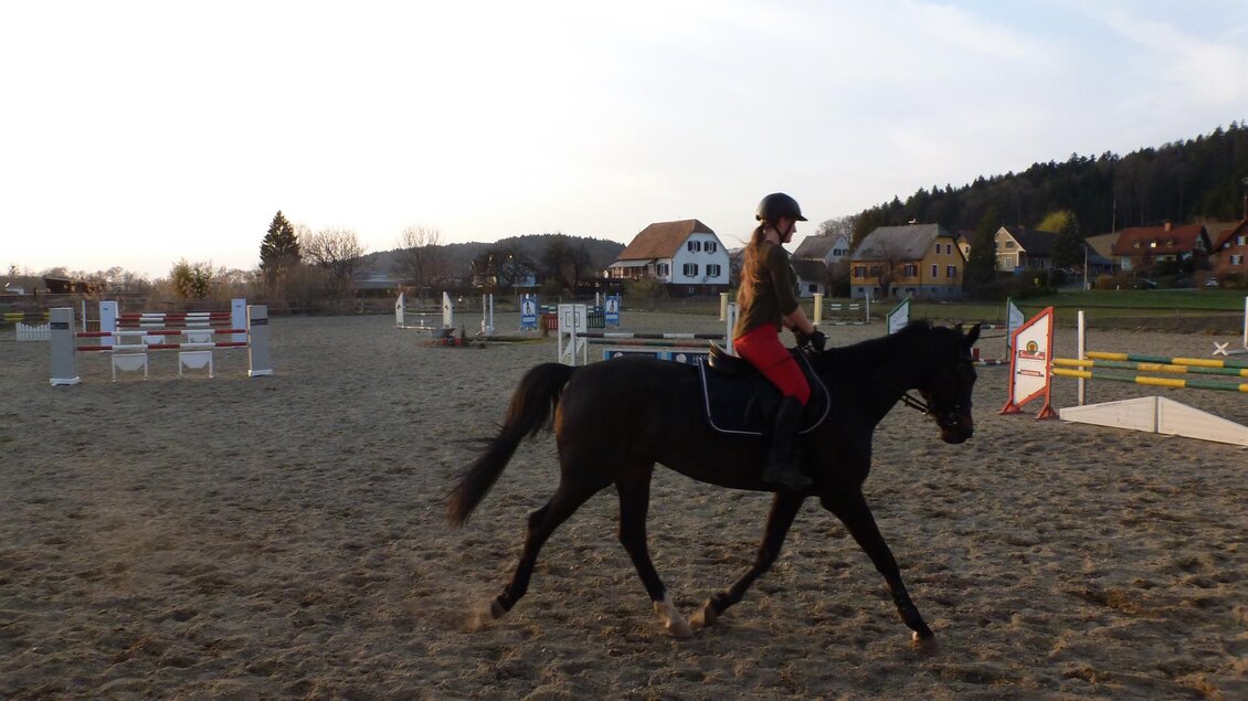 Pferdehof Saurugg | © Pferdehof Saurugg