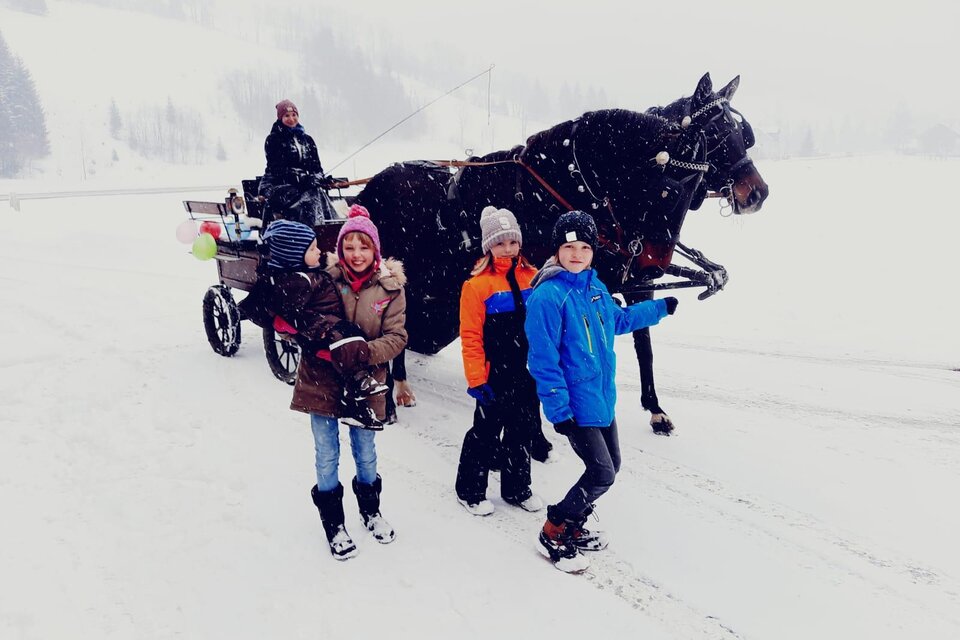 Pferdekutschenfahrten - Impression #1 | © Mag. Tamara Frießnegg