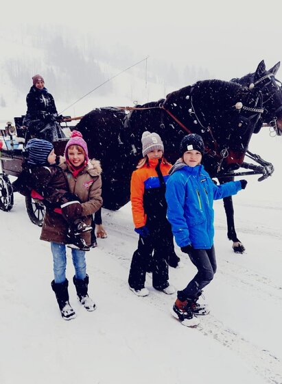 Pferdeschlittenfahrt | © Mag. Tamara Frießnegg