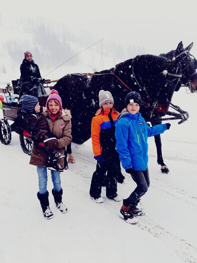 Pferdeschlittenfahrt | © Mag. Tamara Frießnegg