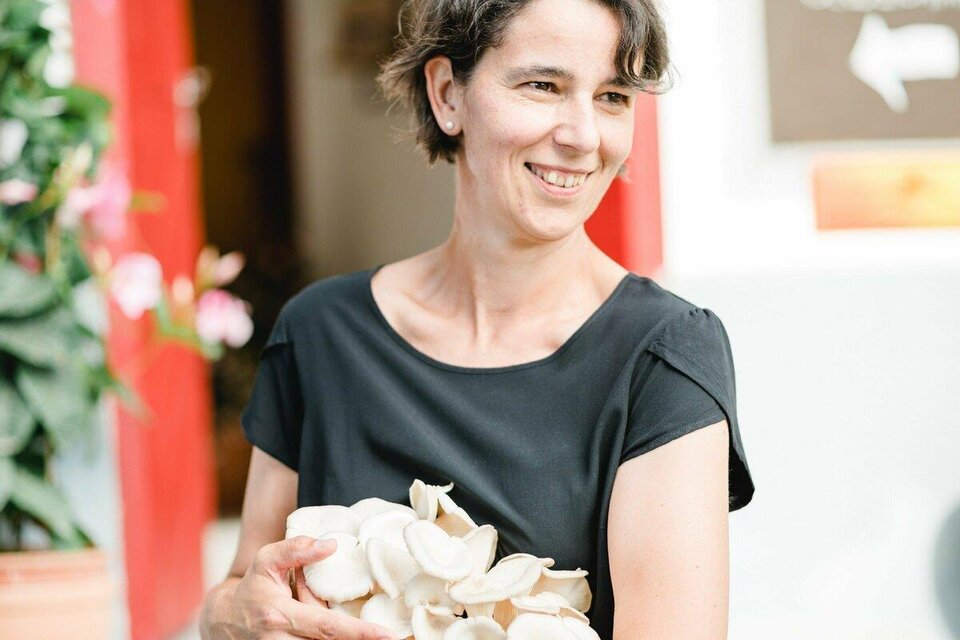 GutBehütet mushroom farm in St. Stefan/R. - Impression #1 | © Manuel Flor