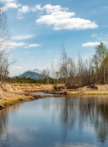 Im Pürgschachen Moor | © Christian Scheucher