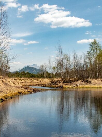 Im Pürgschachen Moor | © Christian Scheucher