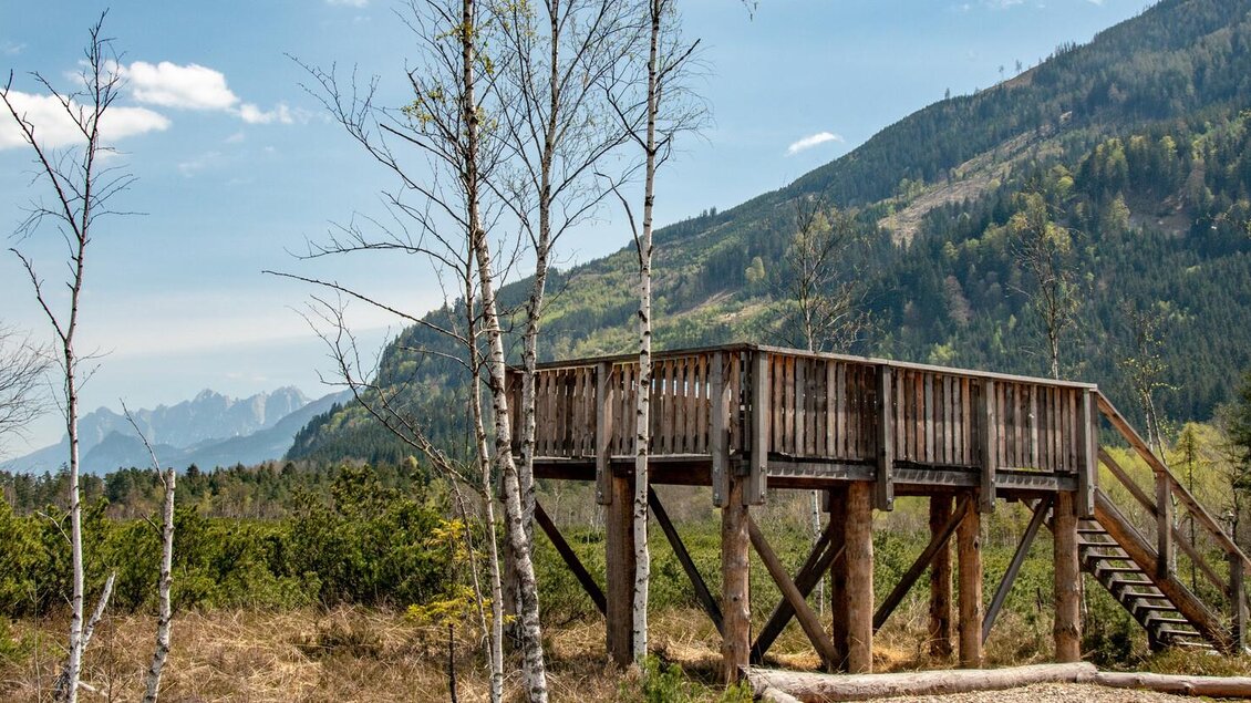 Aussichtsplattform | © Christian Scheucher