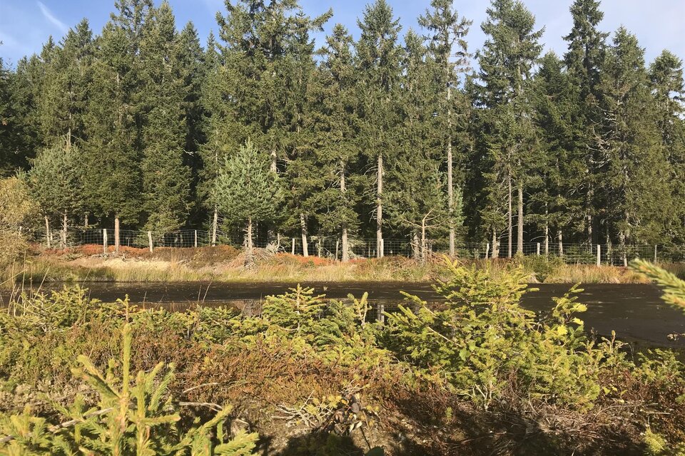 Rastturm Hochmoor Garanas - Impression #1 | © TV Sulmtal Koralm