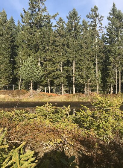 Hochmoor Garanas | © TV Sulmtal Koralm | © TV Sulmtal Koralm