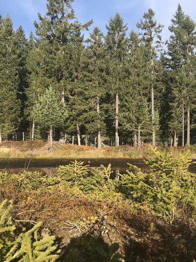 Hochmoor Garanas | © TV Sulmtal Koralm