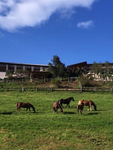 Spatenhof_Außenansicht | © Spatenhof