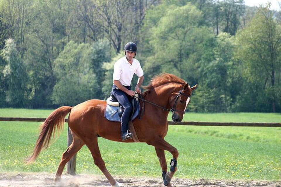 Reitstall & Reithalle Jöbstl - Impression #1