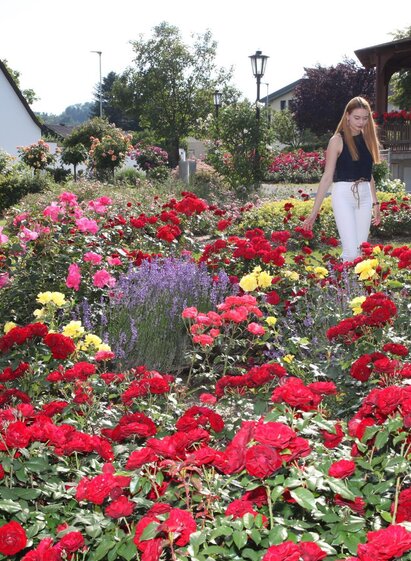 Rosarium in St. Stefan im Rosental | © Suppan-Film
