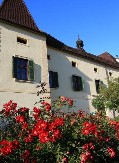 Schloß Friedhofen | © TV Erzberg Leoben