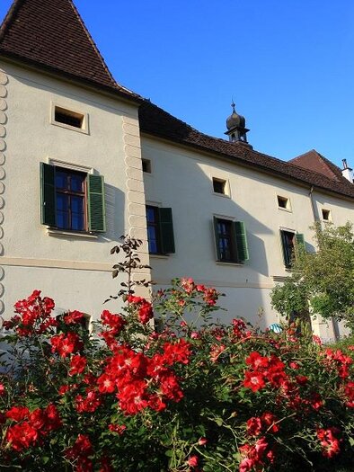 Schloß Friedhofen | © TV Erzberg Leoben