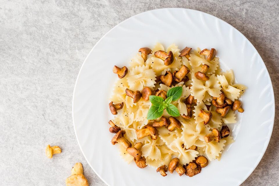 Schloss Gamlitz - Domaines Kilger - Impression #1 | © Schloss Gamlitz