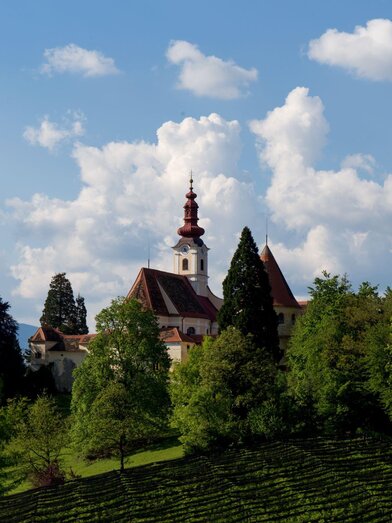 Schloss Hollenegg1 | © Schloss Hollenegg