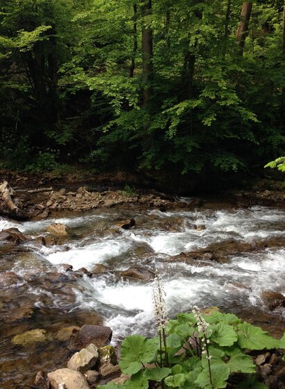 Schwarze Sulm 1 | © TV Sulmtal Koralm | © TV Sulmtal Koralm