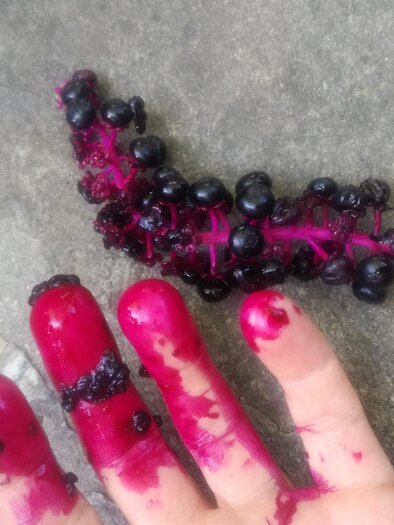 Naturfarbe | © Sinne&Sinn Atelier