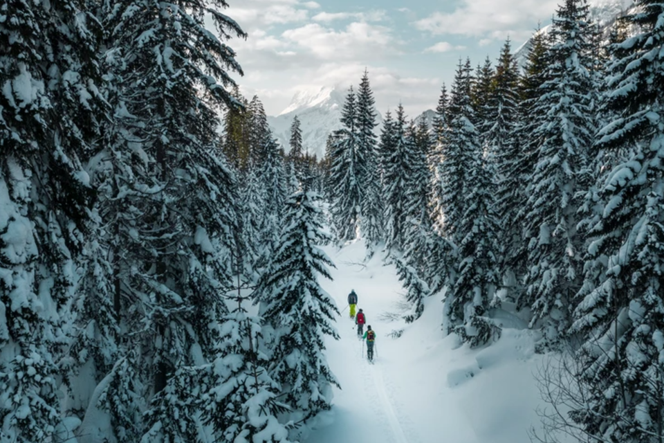 Ski tour through the Gesäuse and Styria beef from the organic farm - Impression #1 | © TV Gesäuse/Stefan Leitner
