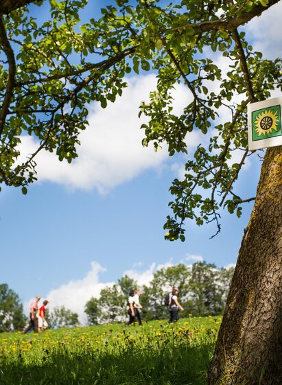 Stanzer Sonnenweg | © (c) fotodesign by Marcus Auer