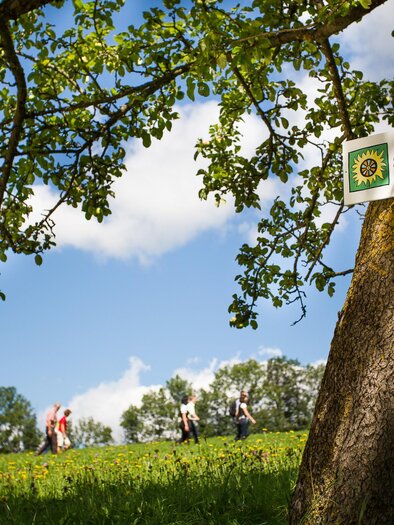 Stanzer Sonnenweg | © (c) fotodesign by Marcus Auer