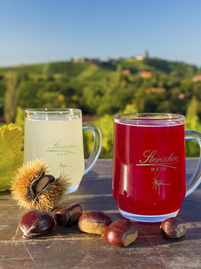 Sturm und Kastanienstand | © Harry Schiffer