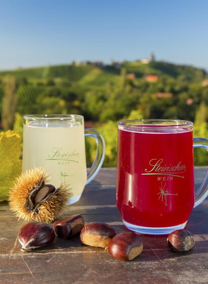 Sturm und Kastanien | © Harry Schiffer