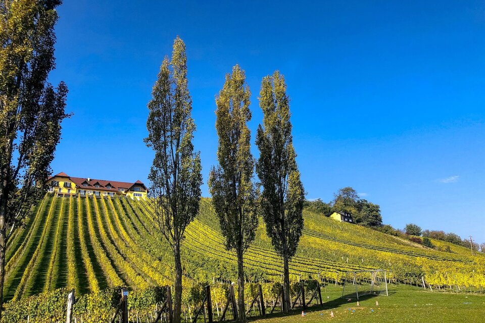 Südoststeirische Hügelland-Weinstraße - Impression #1