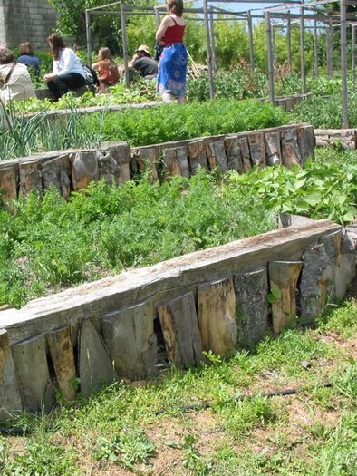 Therapiegarten | © Therapiegarten Herbersdorf