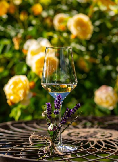 Landschaft Gamlitz | © TV Gamlitz / Harry Schiffer | © TV Gamlitz / Harry Schiffer