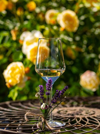 Landschaft Gamlitz | © TV Gamlitz / Harry Schiffer