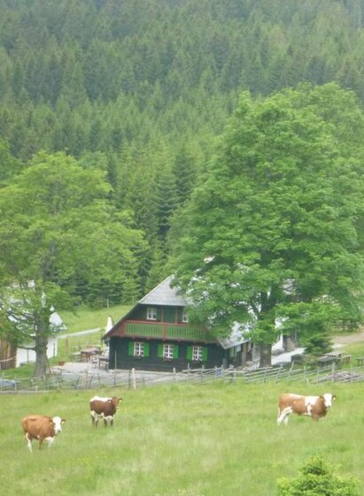 Trahütter Hütte | © Trahütter Hütte