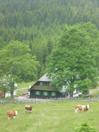 Trahütter Hütte | © Trahütter Hütte