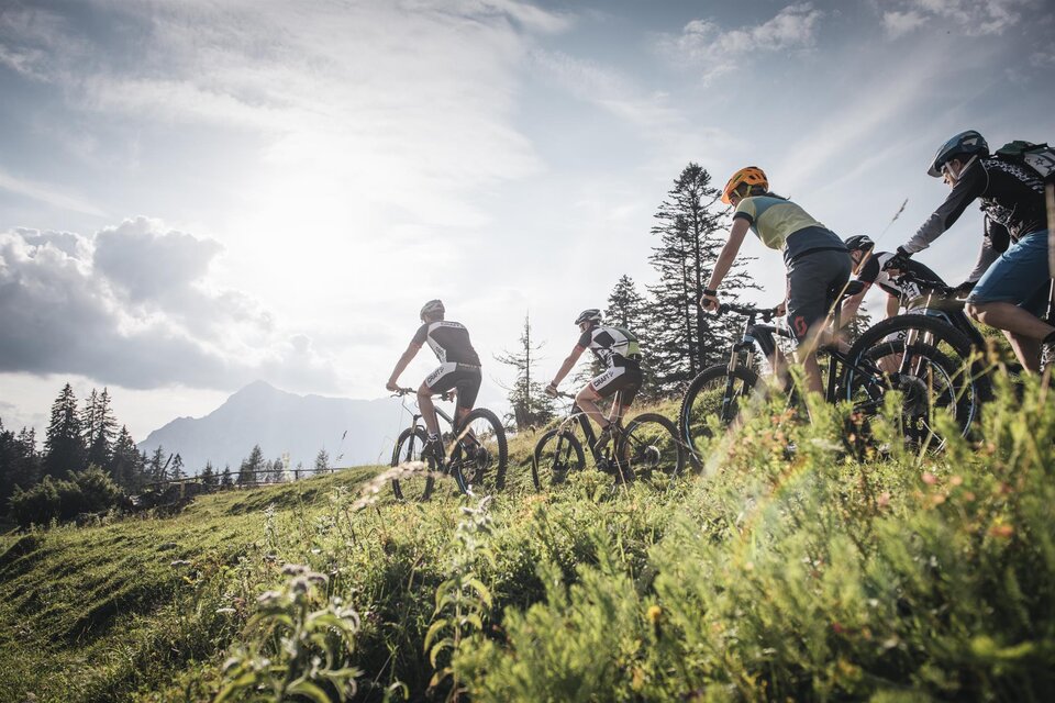 Trans national park tour - Impression #1 | © TV Gesäuse/Stefan Leitner