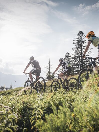 Trans Nationalpark Tour | © TV Gesäuse/Stefan Leitner