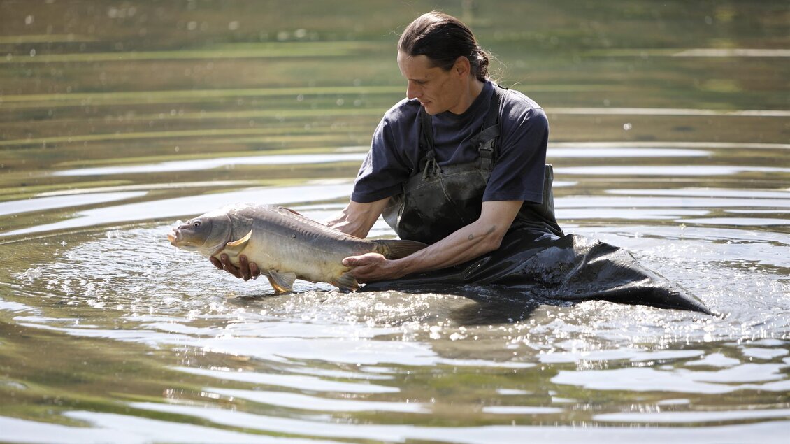 Vulkanland Fischzentrum | © Vulkanland Fischzentrum