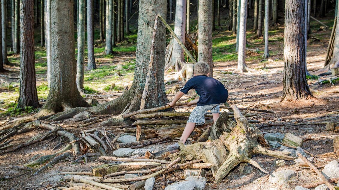 Wald der Sinne 18 | © Wald der Sinne