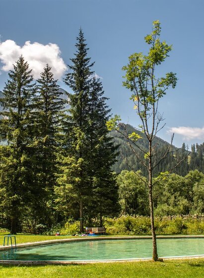 Waldbad Hinterwildalpen | © Christian Scheucher