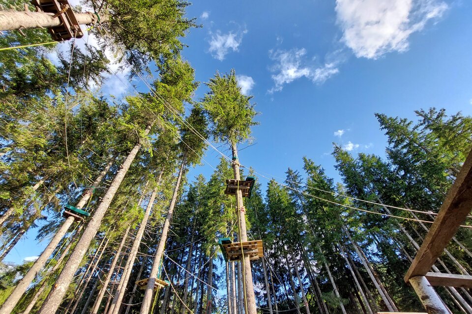 Waldseilgarten Erlaufsee - Impression #1 | © TV Hochsteiermark | Brigitte Digruber