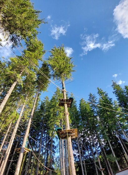 Hoch hinaus im Waldseilgarten Erlaufsee | © TV Hochsteiermark | Brigitte Digruber