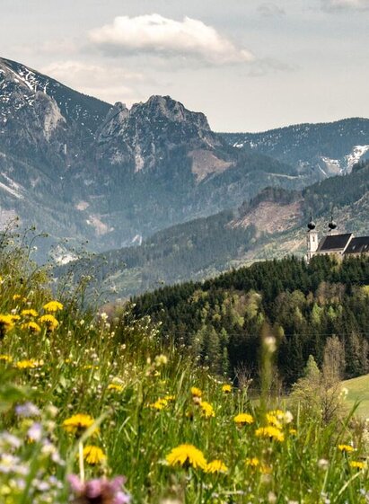 Die Wallfahrtskirche am Frauenberg | © Christian Scheucher