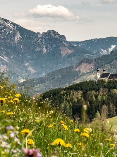 Die Wallfahrtskirche am Frauenberg | © Christian Scheucher