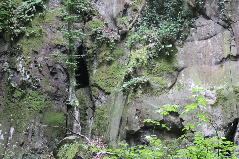 Waltrafelsen Sankt Anna am Aigen - Impression #1 | © Andrea Pock