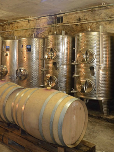 Weinbau Dietrich_ | © Dietrich